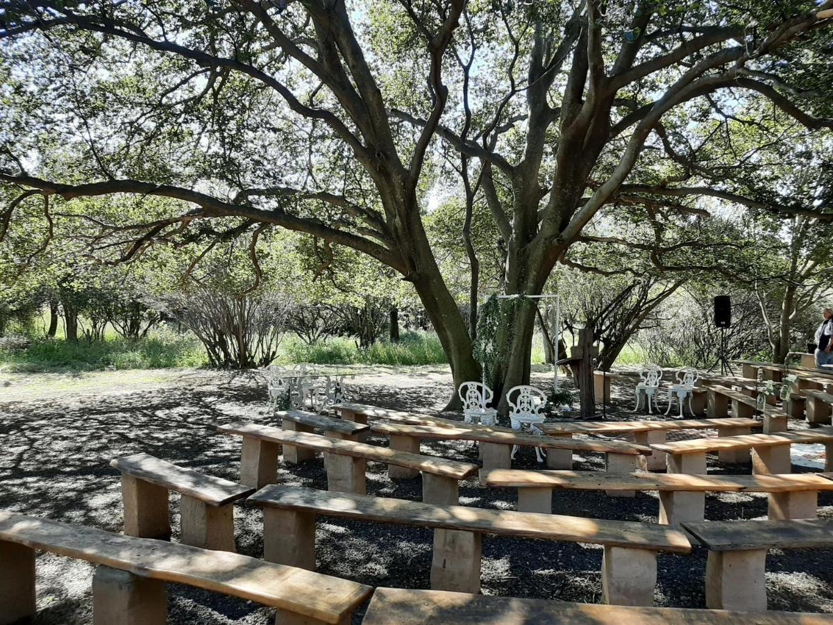 Hotel Imla Guest Farm à Ficksburg Extérieur photo